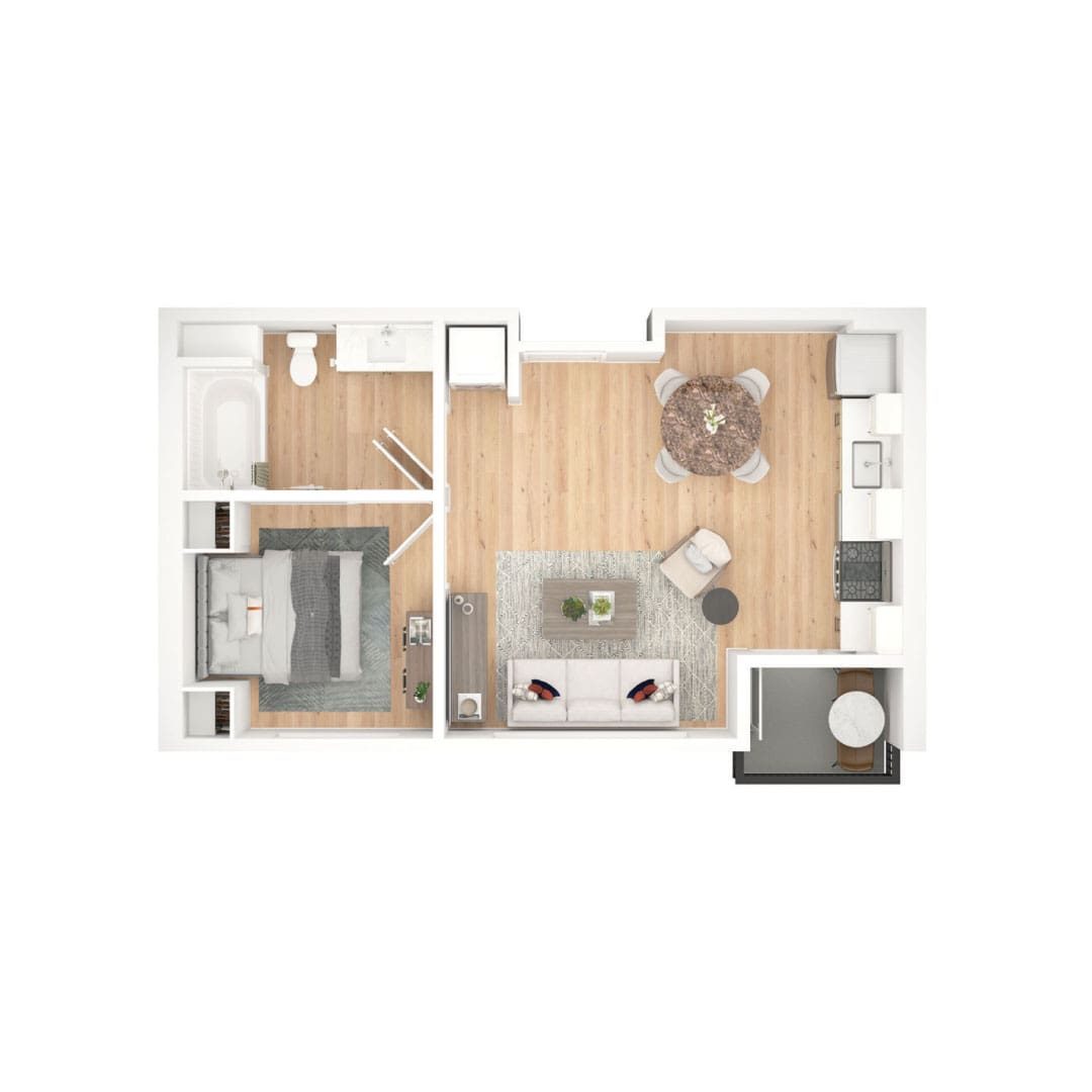 1 Bedroom—North/South